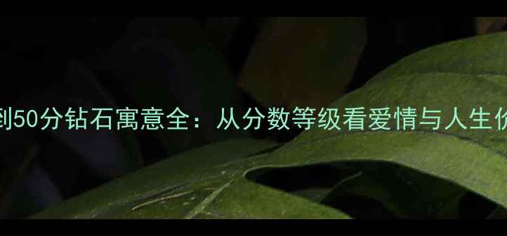 图片 1分到50分钻石寓意全：从分数等级看爱情与人生价值2