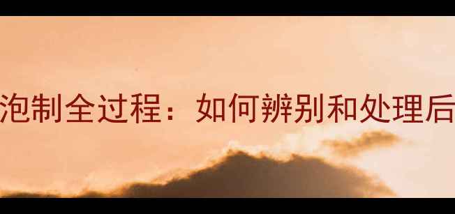 图片 B货翡翠药水泡制全过程：如何辨别和处理后的价值评估2