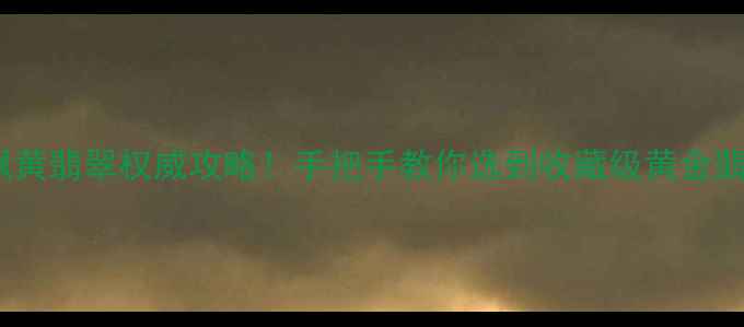 图片 ✨最新飘黄翡翠权威攻略！手把手教你选到收藏级黄金翡翠⬇️2