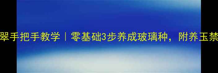 图片 ✨盘翡翠手把手教学｜零基础3步养成玻璃种，附养玉禁忌清单