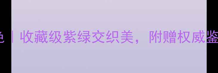 翡翠手镯紫色带绿色收藏级紫绿交织美附赠权威鉴定指南与选购秘籍