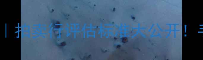 翡翠手镯鉴定避坑指南拍卖行评估标准大公开手把手教你辨别A货B货C货