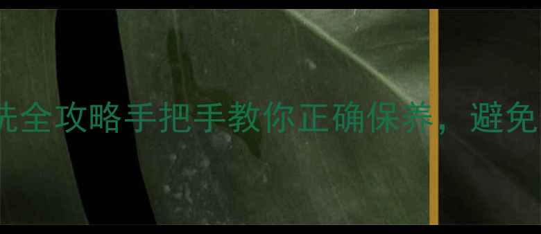 翡翠貔貅清洗全攻略手把手教你正确保养避免价值翻车