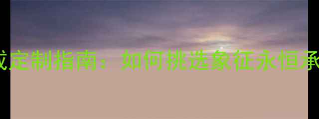 一生只送一人婚戒定制指南如何挑选象征永恒承诺的专属信物