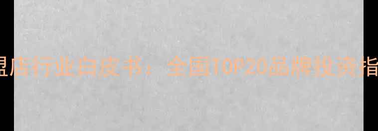 图片 中国珠宝加盟店行业白皮书：全国TOP20品牌投资指南与经营全2