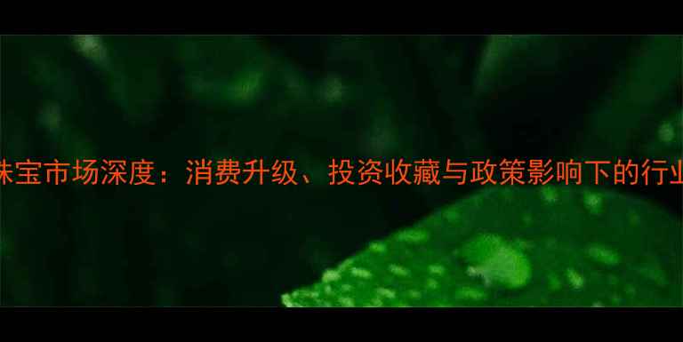 中国珠宝市场深度消费升级投资收藏与政策影响下的行业趋势