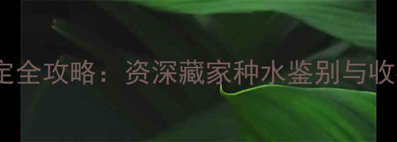 图片 云南翡翠鉴定全攻略：资深藏家种水鉴别与收藏投资秘籍2