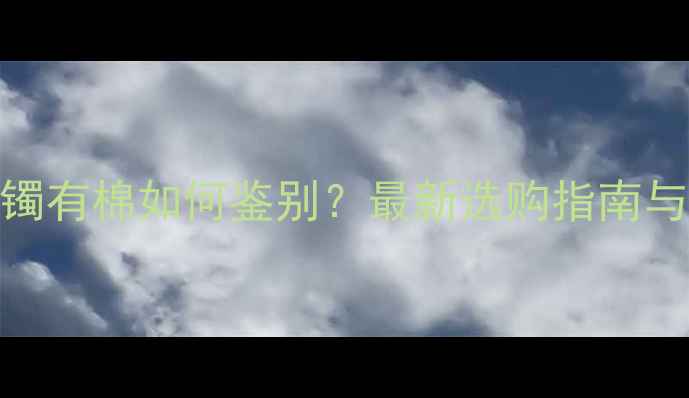 图片 冰种翡翠手镯有棉如何鉴别？最新选购指南与价值评估全