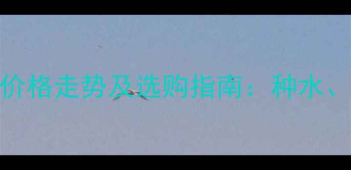 图片 冰种飘花翡翠价格走势及选购指南：种水、花色、证书全