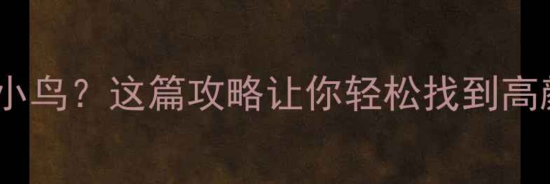 北京哪有钻石小鸟这篇攻略让你轻松找到高颜值珠宝店