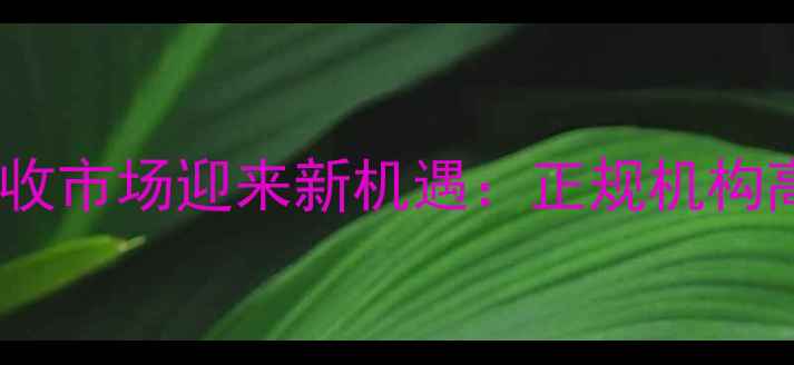 图片 南宁黄金首饰回收市场迎来新机遇：正规机构高价回收全流程2