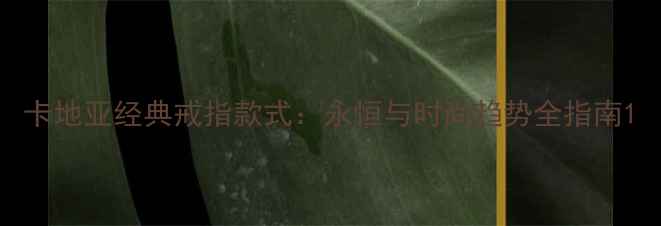 卡地亚经典戒指款式永恒与时尚趋势全指南