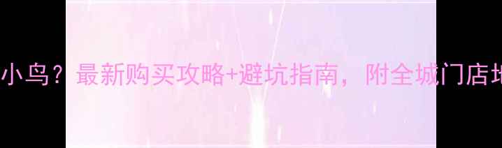 图片 厦门哪里买钻石小鸟？最新购买攻略+避坑指南，附全城门店地址和优惠活动2