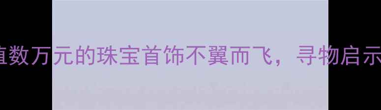 图片 天津站失物招领：价值数万元的珠宝首饰不翼而飞，寻物启示及失主联系方式曝光1