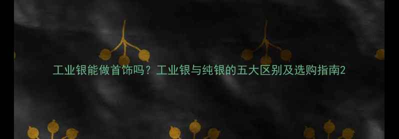 工业银能做首饰吗工业银与纯银的五大区别及选购指南