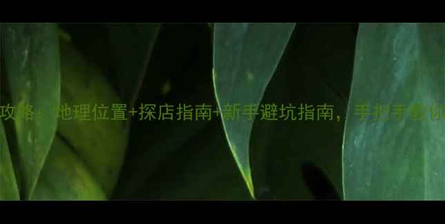 图片 平洲翡翠标场全攻略：地理位置+探店指南+新手避坑指南，手把手教你找到宝藏市场！