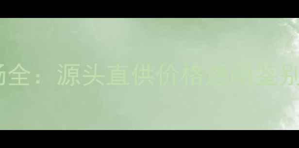 图片 广州四会翡翠批发市场全：源头直供价格透明鉴别指南（附最新行情）1