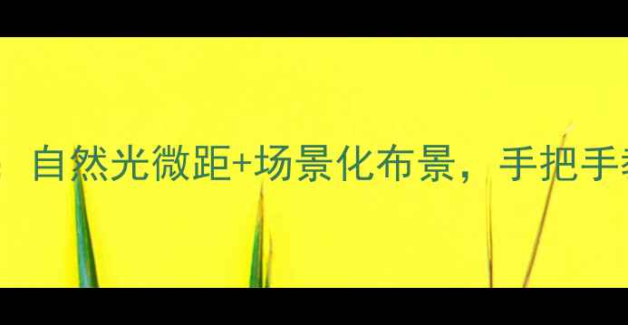情侣对戒拍摄全攻略自然光微距场景化布景手把手教你拍出珠宝级质感