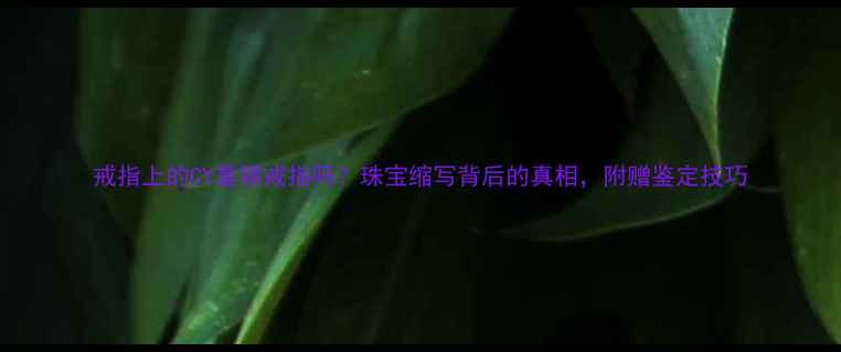 图片 戒指上的CY是银戒指吗？珠宝缩写背后的真相，附赠鉴定技巧