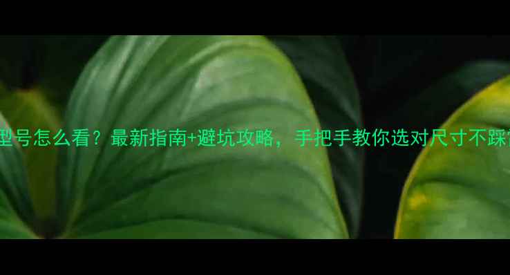 戒指型号怎么看最新指南避坑攻略手把手教你选对尺寸不踩雷