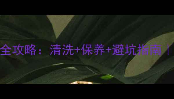 新翡翠手镯保养全攻略清洗保养避坑指南附正确步骤图解
