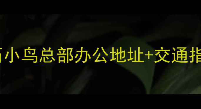 最新钻石小鸟总部办公地址交通指南品牌全
