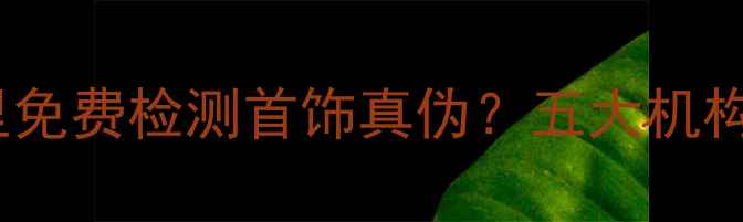 图片 权威指南：在哪里免费检测首饰真伪？五大机构+四步鉴别技巧全