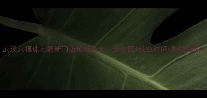 图片 武汉六福珠宝最新门店地址大全：分布图+营业时间+购物指南2