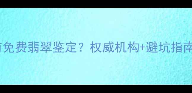 深圳哪里有免费翡翠鉴定权威机构避坑指南全公开
