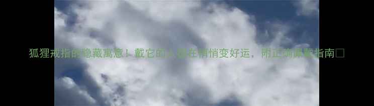 狐狸戒指的隐藏寓意戴它的人都在悄悄变好运附正确佩戴指南