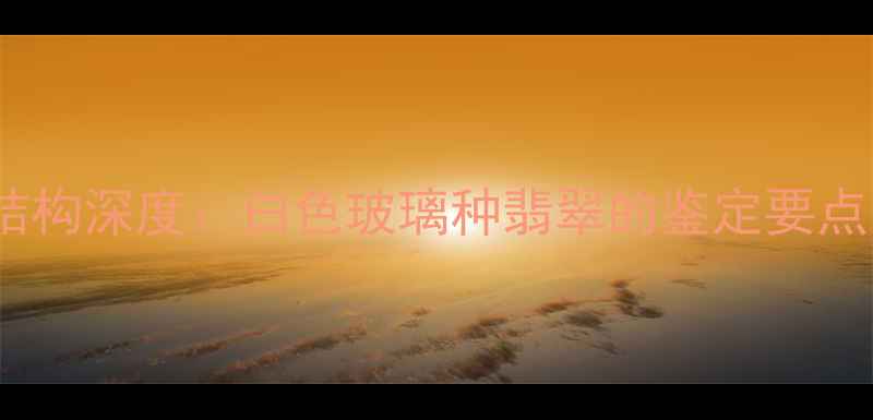 图片 玻璃种翡翠结构深度：白色玻璃种翡翠的鉴定要点与投资价值1