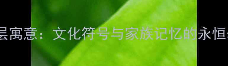 珠宝传承的深层寓意文化符号与家族记忆的永恒表达最新