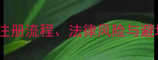 图片 珠宝商标经营范围全流程：注册流程、法律风险与避坑指南（附最新政策解读）1