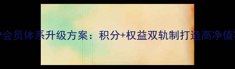 图片 珠宝店VIP会员体系升级方案：积分+权益双轨制打造高净值客户生态2