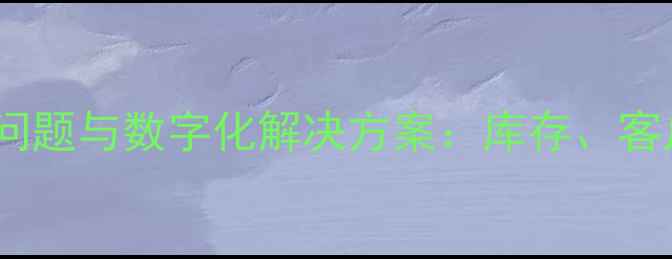 图片 珠宝店管理五大核心问题与数字化解决方案：库存、客户与利润的精准把控1