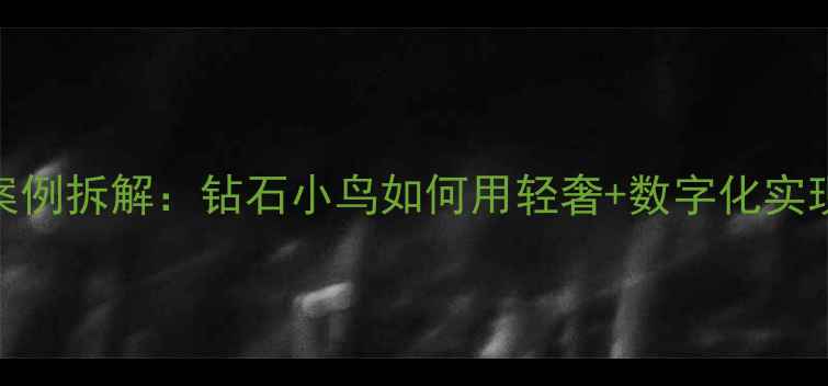 图片 珠宝营销案例拆解：钻石小鸟如何用轻奢+数字化实现销量翻倍
