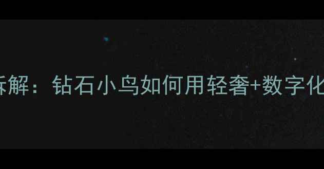 图片 珠宝营销案例拆解：钻石小鸟如何用轻奢+数字化实现销量翻倍1