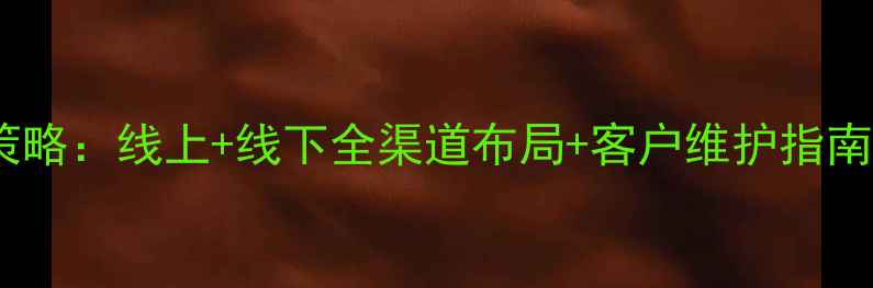 珠宝销售技巧与策略线上线下全渠道布局客户维护指南附实战案例