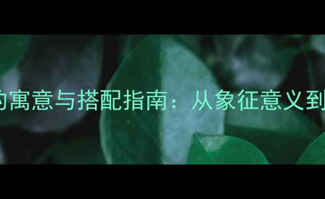 男人戴金戒指的寓意与搭配指南从象征意义到日常佩戴技巧