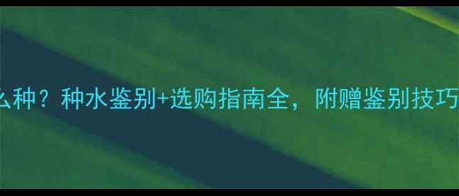 白色翡翠是什么种种水鉴别选购指南全附赠鉴别技巧和价格参考