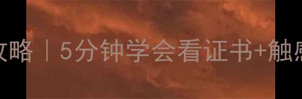 图片 白金戒指真假辨别全攻略｜5分钟学会看证书+触感+硬度｜附防坑指南1