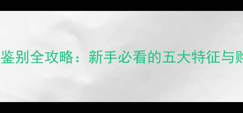 图片 糯种翡翠鉴别全攻略：新手必看的五大特征与购买技巧1