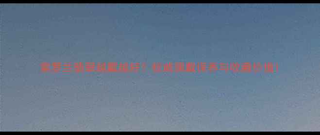 图片 紫罗兰翡翠越戴越好？权威佩戴保养与收藏价值1