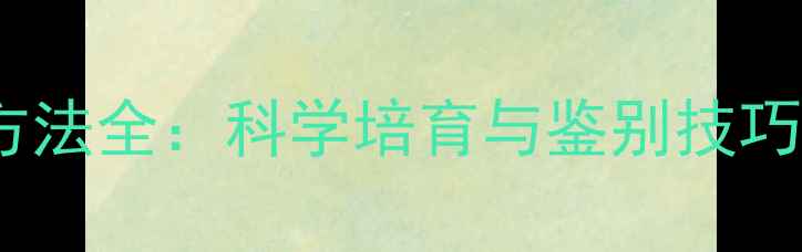 绿翡翠养殖方法全科学培育与鉴别技巧及投资指南