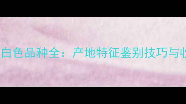 缅甸翡翠白色品种全产地特征鉴别技巧与收藏建议