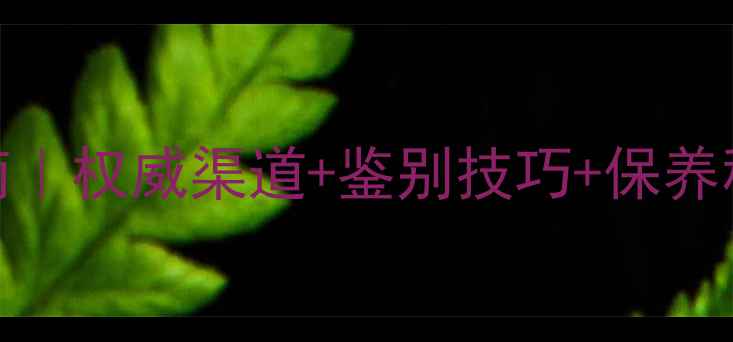 图片 缅甸翡翠购买避坑指南｜权威渠道+鉴别技巧+保养秘籍（附最新市场价）