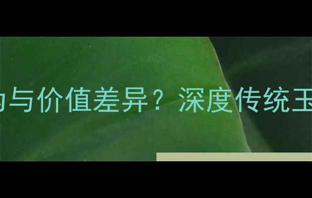 翡翠vs老玉如何辨别真伪与价值差异深度传统玉石与缅甸翡翠的收藏要点