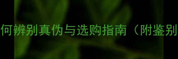 翡翠vs马来玉如何辨别真伪与选购指南附鉴别技巧与价格对比