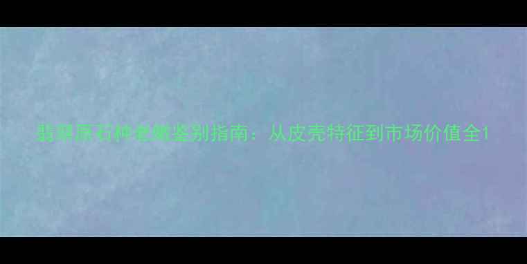 图片 翡翠原石种老嫩鉴别指南：从皮壳特征到市场价值全1
