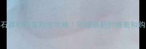 翡翠原石莽松花鉴别全攻略附赠最新价格表和购买指南